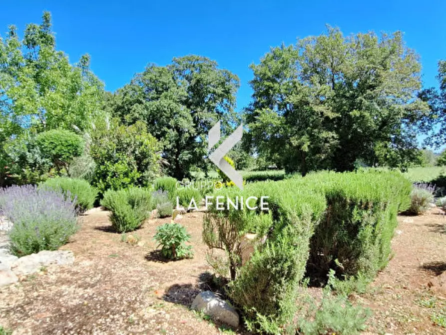 Immagine 45 di Villa in vendita  in c.da Ficazza 27 a Locorotondo