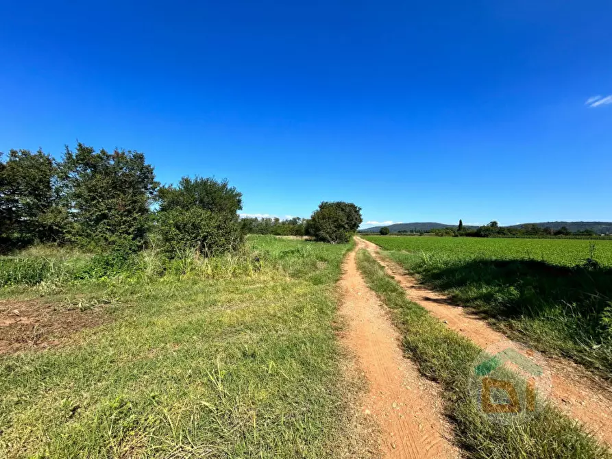 Immagine 3 di Terreno in vendita  in VIA DEI CAMPI a Gradisca D'isonzo