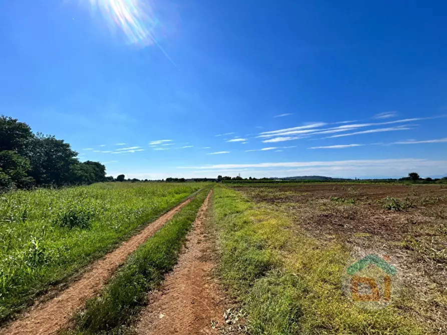 Immagine 8 di Terreno in vendita  in VIA DEI CAMPI a Gradisca D'isonzo