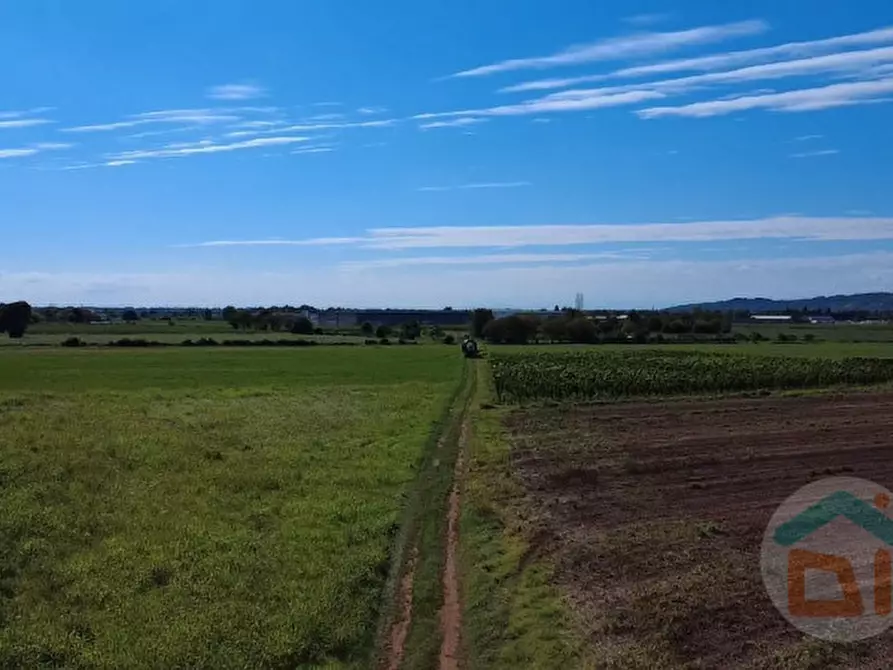 Immagine 19 di Terreno in vendita  in VIA DEI CAMPI a Gradisca D'isonzo