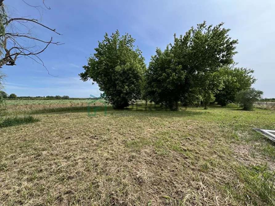 Immagine 44 di Villa in vendita  in via casenuove a San Donà Di Piave