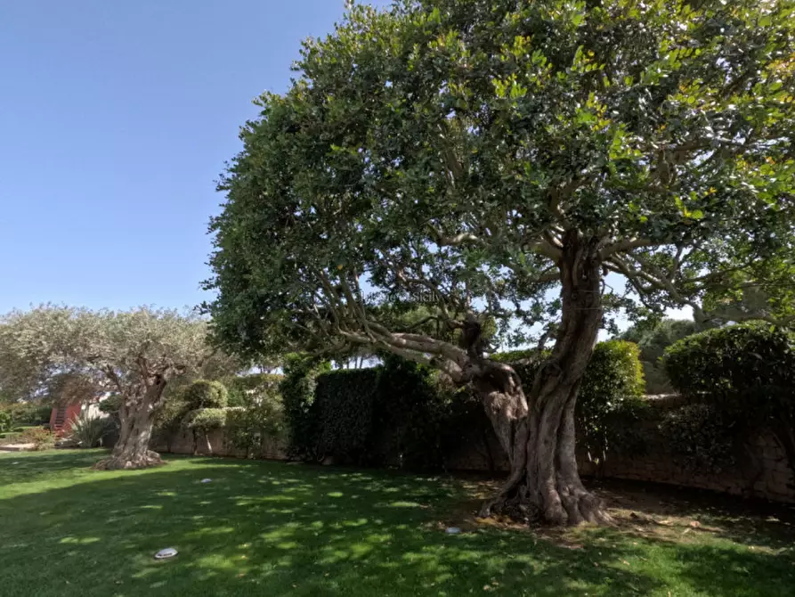 Immagine 26 di Villa in vendita  in Via Paolo Stoppa a Ragusa