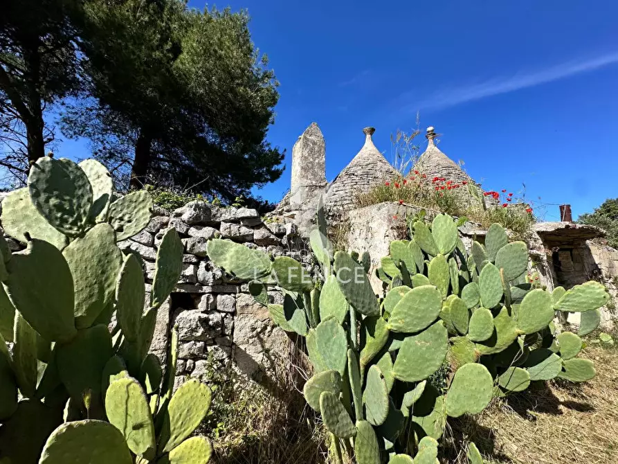 Immagine 2 di Rustico / casale in vendita  in Strada Votano a Martina Franca