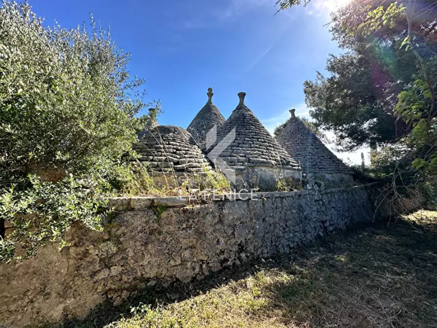 Immagine 7 di Rustico / casale in vendita  in Strada Votano a Martina Franca