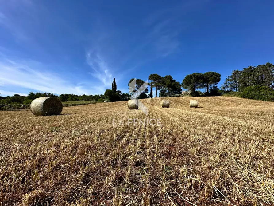 Immagine 9 di Rustico / casale in vendita  in Strada Votano a Martina Franca
