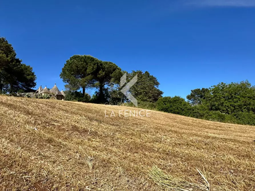 Immagine 10 di Rustico / casale in vendita  in Strada Votano a Martina Franca
