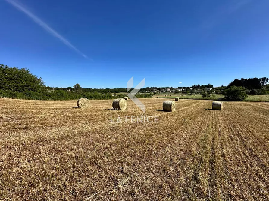Immagine 11 di Rustico / casale in vendita  in Strada Votano a Martina Franca