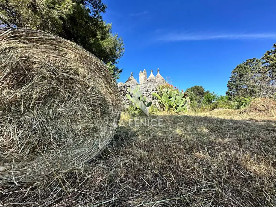 Immagine 12 di Rustico / casale in vendita  in Strada Votano a Martina Franca