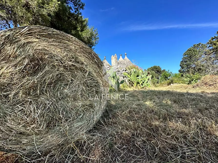 Immagine 13 di Rustico / casale in vendita  in Strada Votano a Martina Franca