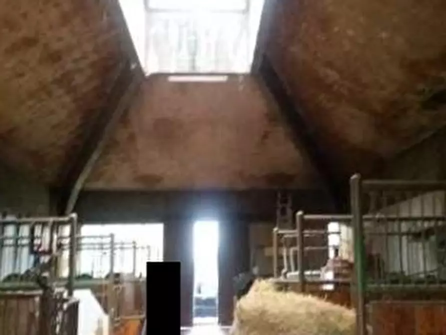 Immagine 39 di Villa in vendita  in VIA PERAROLO a San Bonifacio