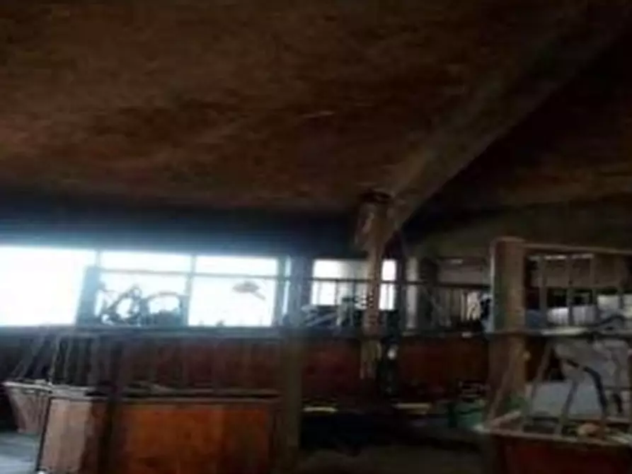 Immagine 40 di Villa in vendita  in VIA PERAROLO a San Bonifacio