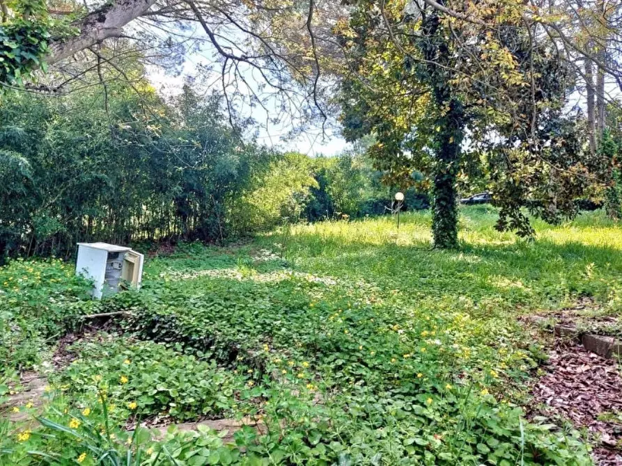 Immagine 18 di Casa indipendente in vendita  in Via del Petagneto 220, 01036 Nepi VT, Italia a Nepi