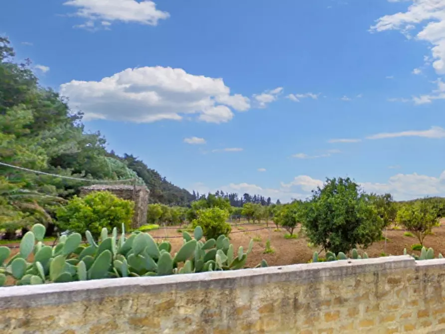 Immagine 3 di Terreno in vendita  in Loc. Canalotto - Via Bresciana, snc a Castelvetrano