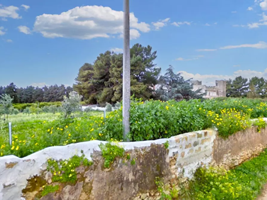 Immagine 6 di Terreno in vendita  in Loc. Canalotto - Via Bresciana, snc a Castelvetrano