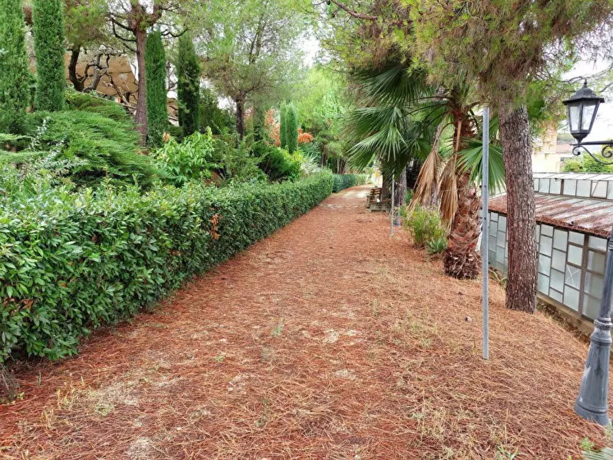 Immagine 3 di Hotel in vendita  in SP91, Cupra Marittima AP, Italia a Cupra Marittima