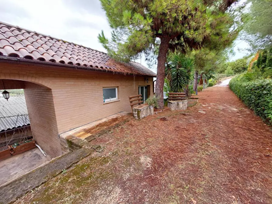 Immagine 4 di Hotel in vendita  in SP91, Cupra Marittima AP, Italia a Cupra Marittima