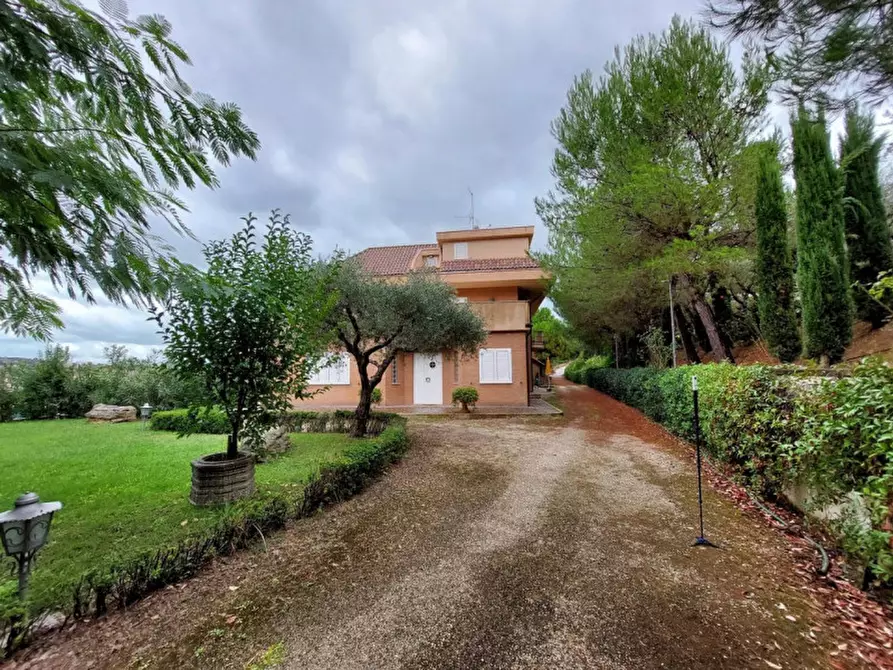 Immagine 7 di Hotel in vendita  in SP91, Cupra Marittima AP, Italia a Cupra Marittima