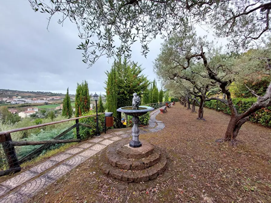 Immagine 2 di Attività commerciale in vendita  in SP91, Cupra Marittima AP, Italia a Cupra Marittima