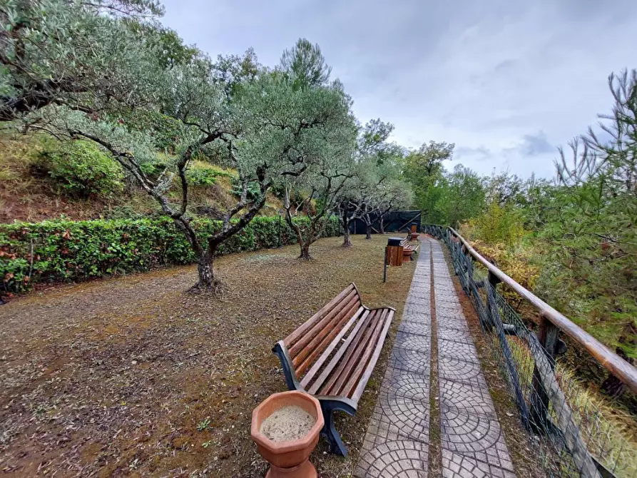 Immagine 3 di Attività commerciale in vendita  in SP91, Cupra Marittima AP, Italia a Cupra Marittima