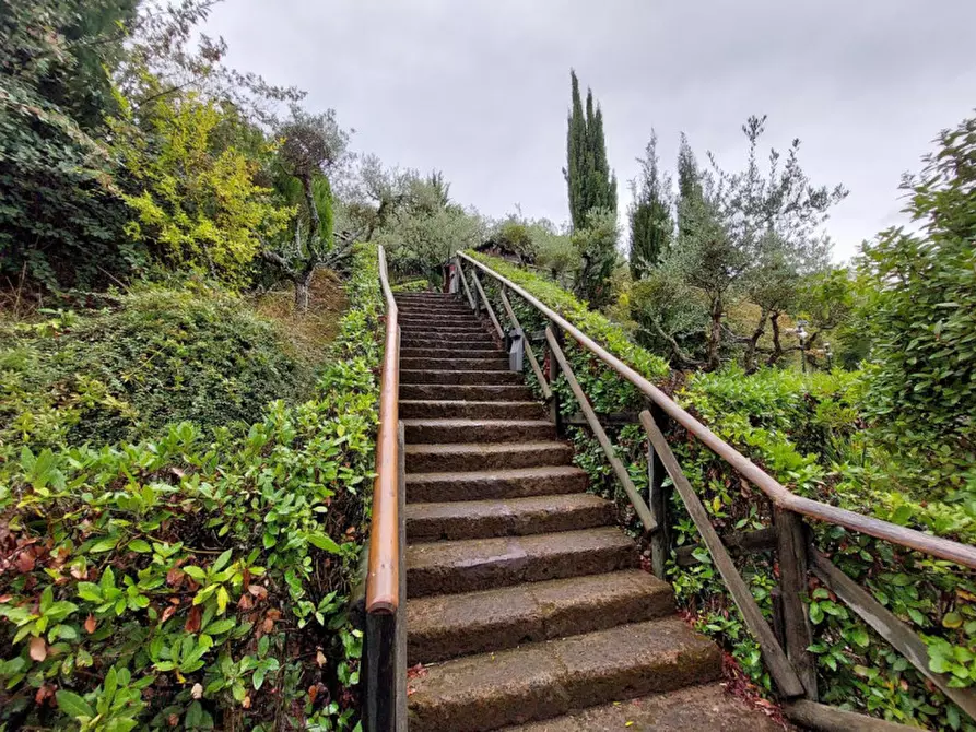 Immagine 6 di Attività commerciale in vendita  in SP91, Cupra Marittima AP, Italia a Cupra Marittima