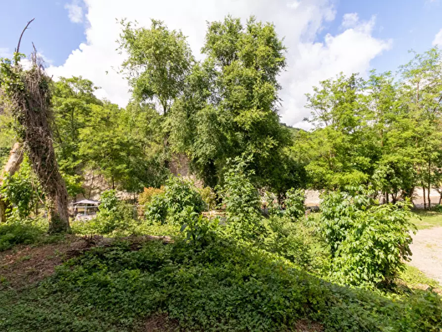 Immagine 18 di Appartamento in vendita  in via zena 21 a Pianoro