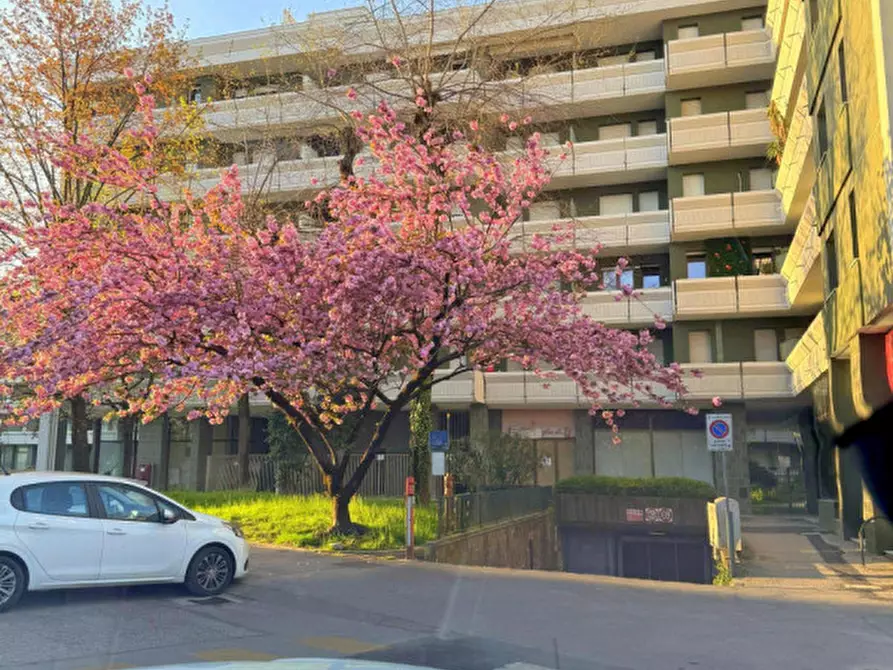 Immagine 52 di Appartamento in vendita  in Via Luigi Pellizzo a Padova