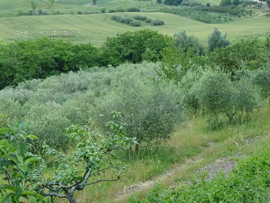 casa indipendente in vendita a Vallefoglia in zona Sant'Angelo in Lizzola