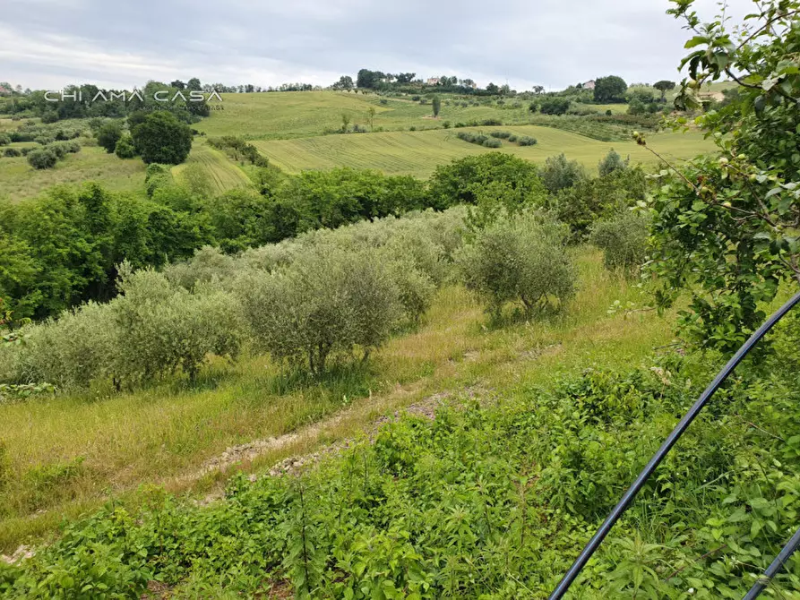 Immagine 2 di Terreno in vendita  in Via Serra a Vallefoglia