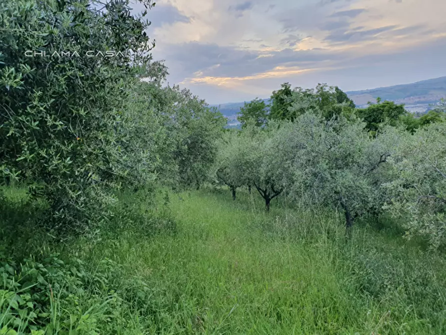 Immagine 4 di Terreno in vendita  in Via Serra a Vallefoglia