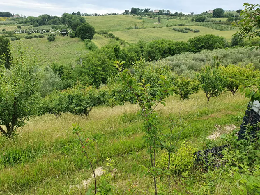 Immagine 7 di Terreno in vendita  in Via Serra a Vallefoglia