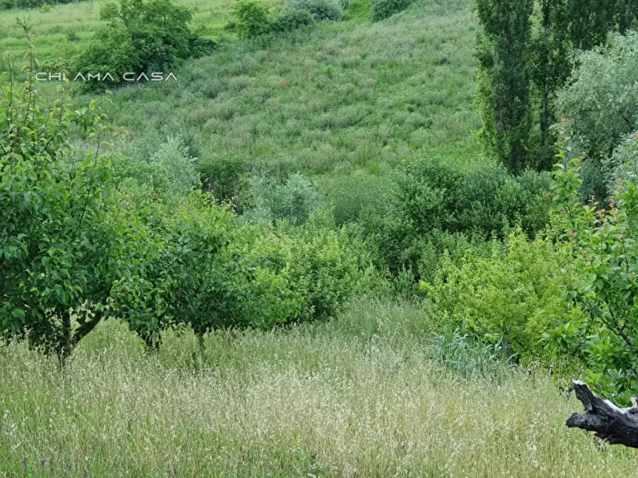 Immagine 8 di Terreno in vendita  in Via Serra a Vallefoglia