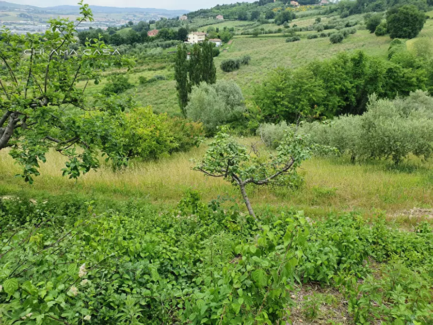 Immagine 9 di Terreno in vendita  in Via Serra a Vallefoglia