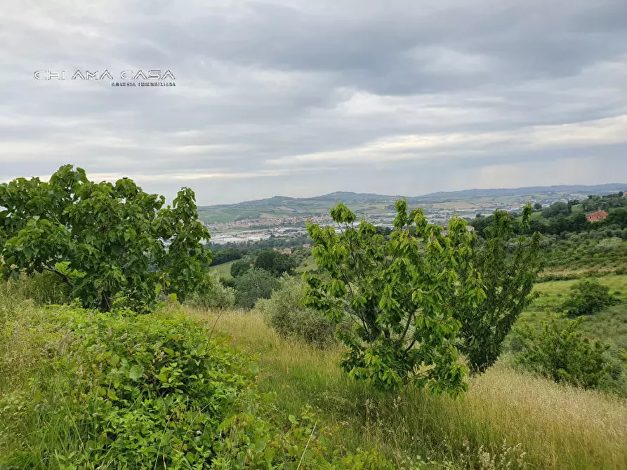 Immagine 10 di Terreno in vendita  in Via Serra a Vallefoglia