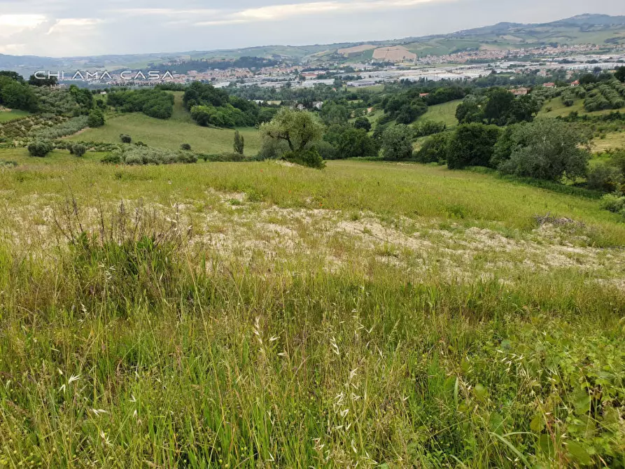 Immagine 11 di Terreno in vendita  in Via Serra a Vallefoglia