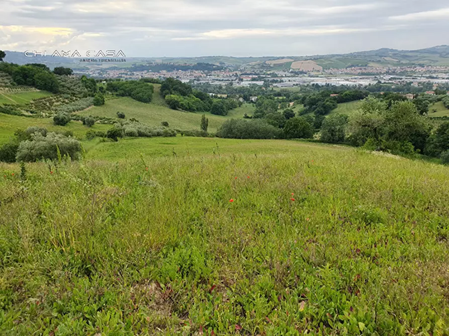 Immagine 13 di Terreno in vendita  in Via Serra a Vallefoglia