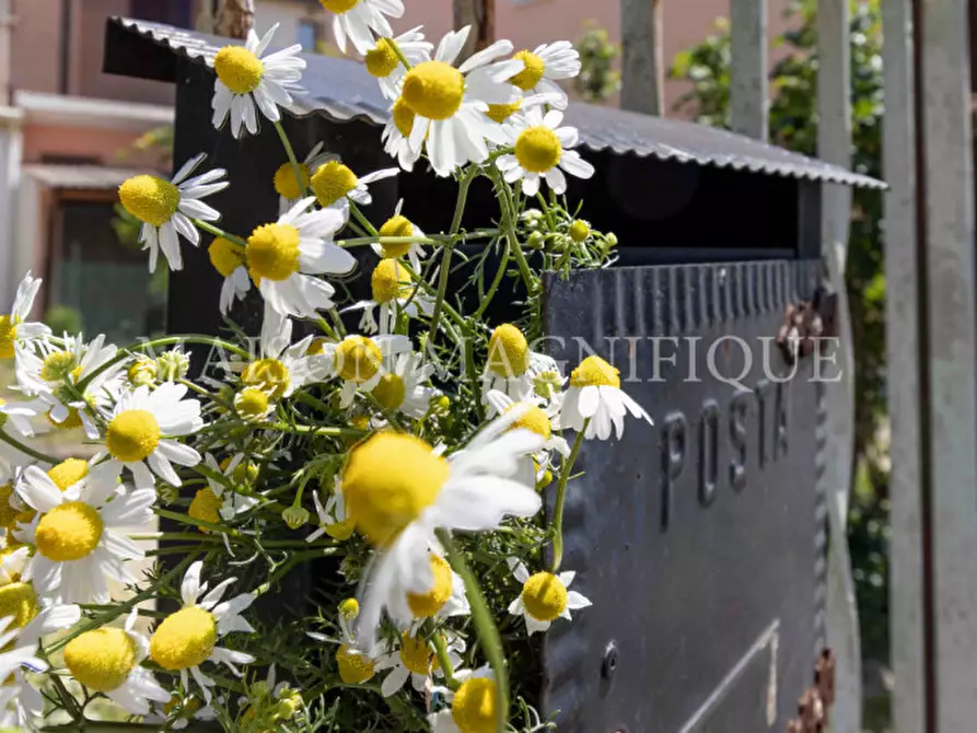 Immagine 36 di Villetta a schiera in vendita  in Via Penavara a Ferrara