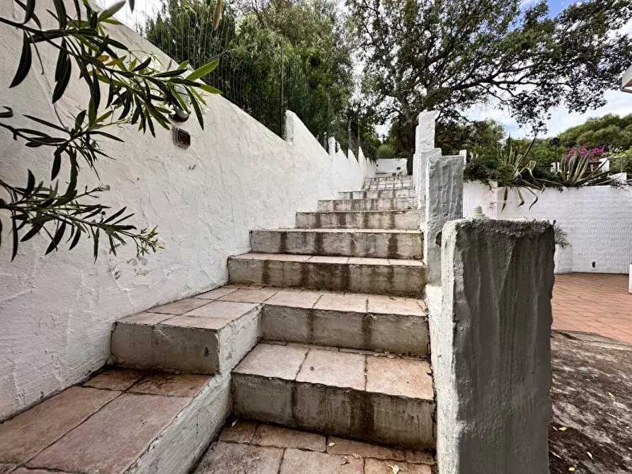 Immagine 43 di Villetta a schiera in vendita  in iscra e voes a Siniscola