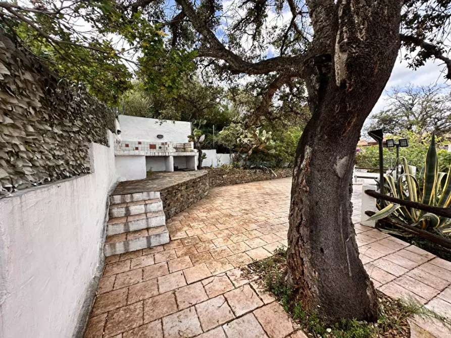 Immagine 45 di Villetta a schiera in vendita  in iscra e voes a Siniscola