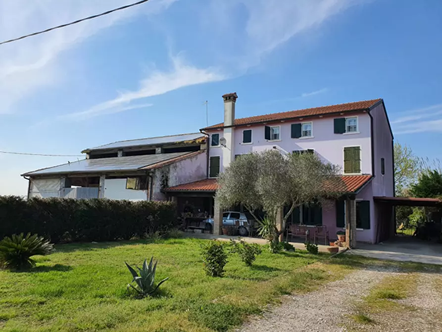 Immagine 13 di Rustico / casale in vendita  a Cavarzere