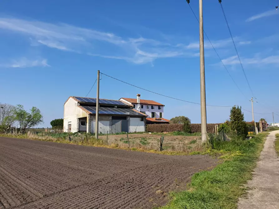 Immagine 15 di Rustico / casale in vendita  a Cavarzere