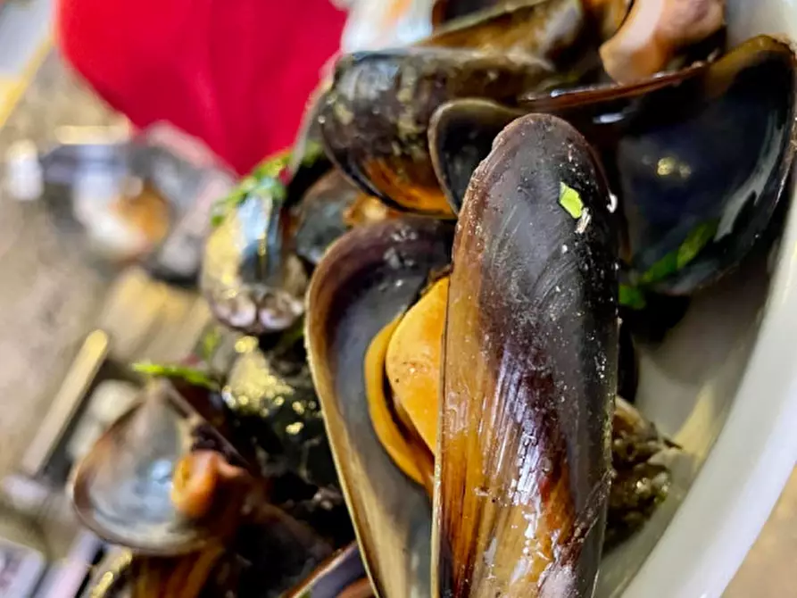 Immagine 31 di Attività commerciale in vendita  in Via Frejus n°117/a a Torino