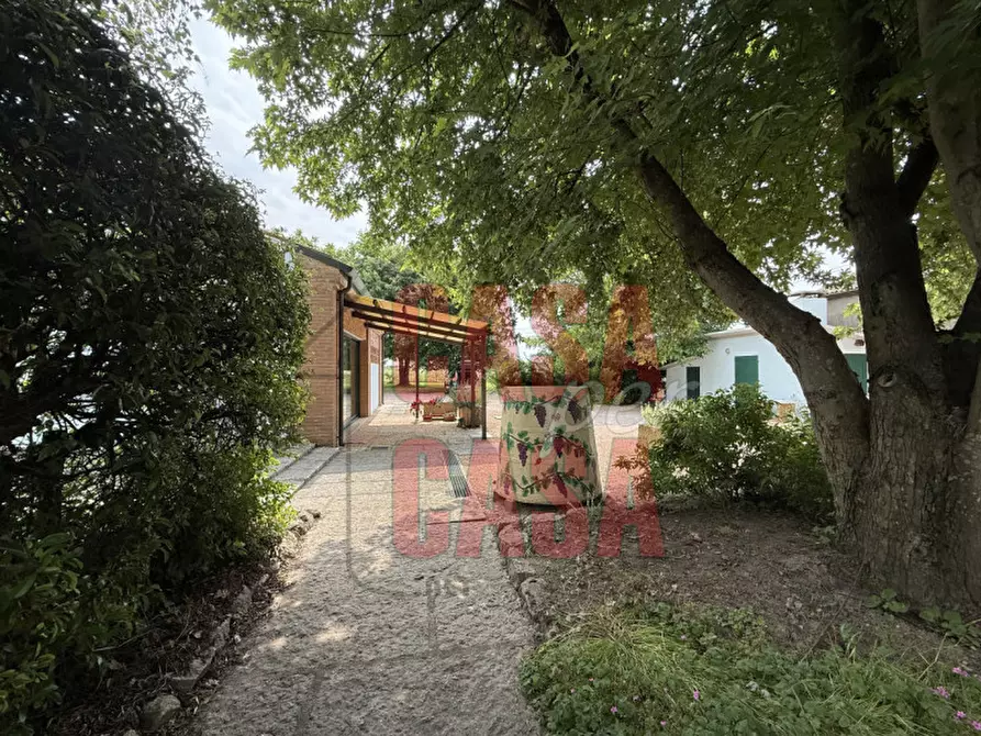 Immagine 22 di Casa indipendente in vendita  in Via Antonio Vivaldi a Badia Polesine