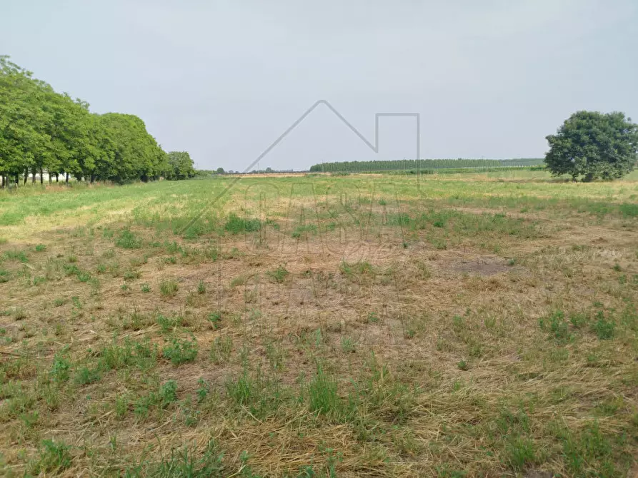 Immagine 29 di Casa indipendente in vendita  in Via Antonio Vivaldi a Badia Polesine