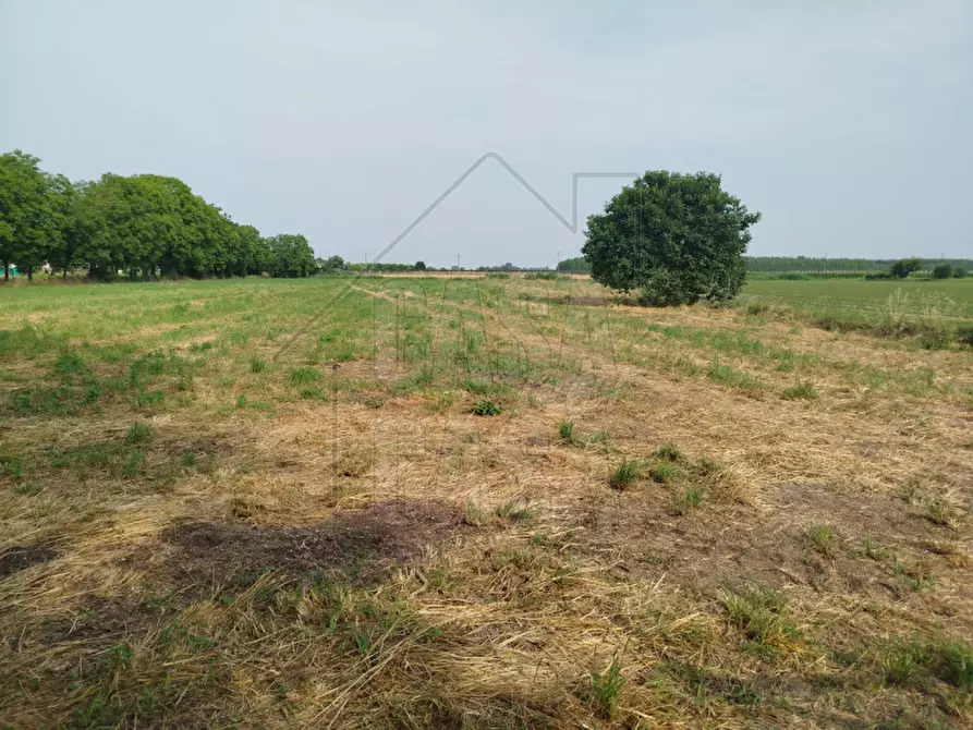 Immagine 31 di Casa indipendente in vendita  in Via Antonio Vivaldi a Badia Polesine