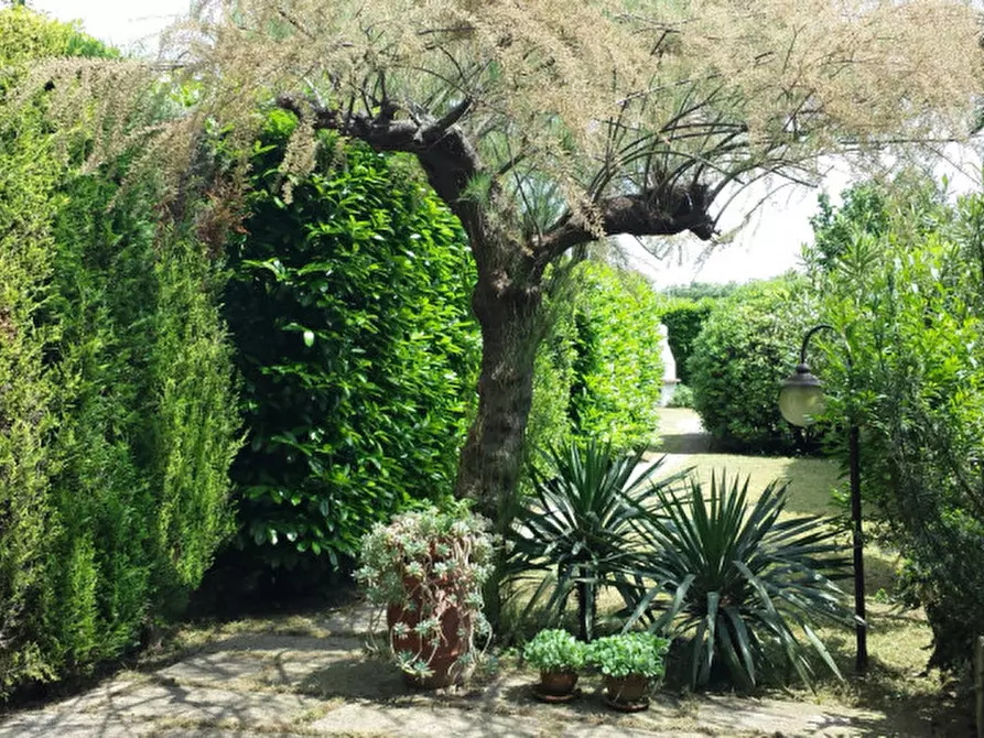 Immagine 2 di Villetta a schiera in vendita  in Via Ronzinella a Mogliano Veneto