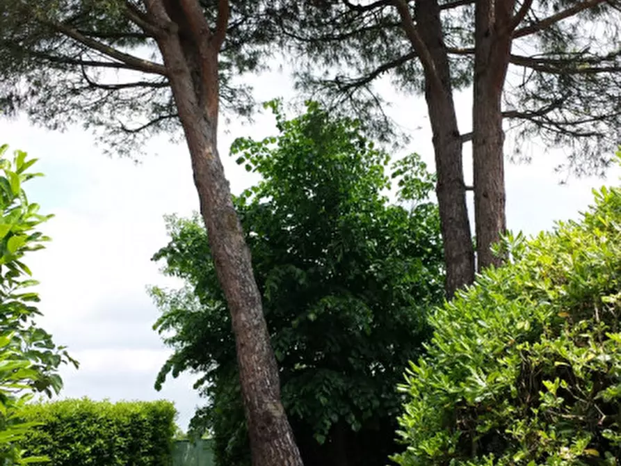 Immagine 3 di Villetta a schiera in vendita  in Via Ronzinella a Mogliano Veneto