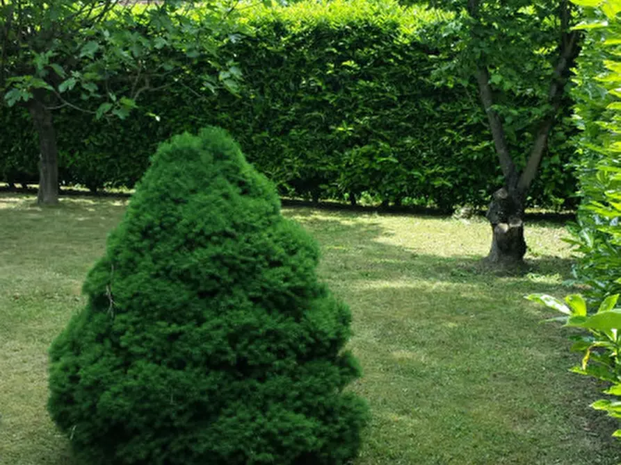 Immagine 7 di Villetta a schiera in vendita  in Via Ronzinella a Mogliano Veneto