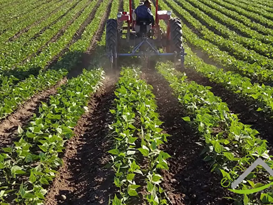 Immagine 2 di Terreno in vendita  in Via Barbariga a Stra