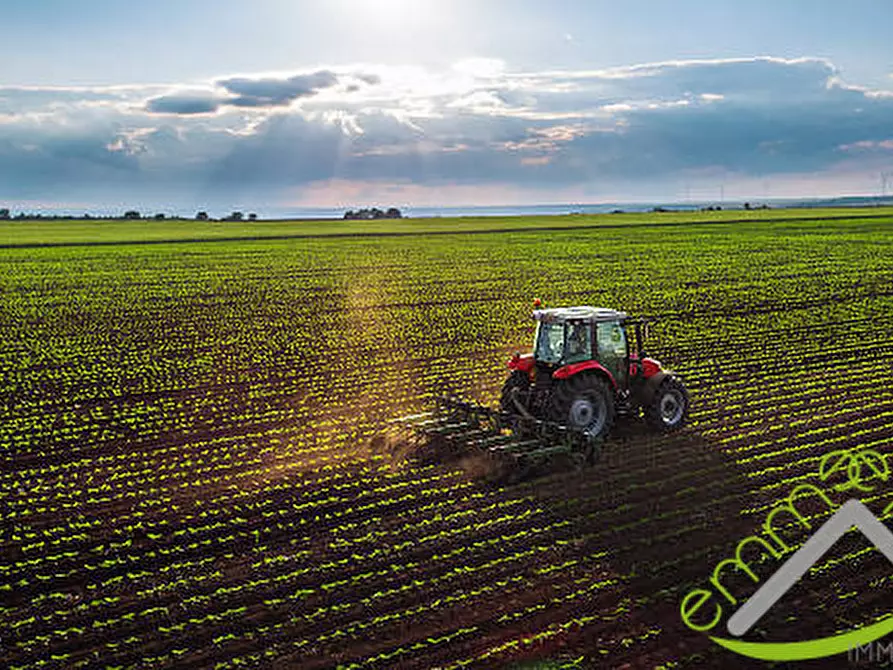 Immagine 3 di Terreno in vendita  in Via Barbariga a Stra