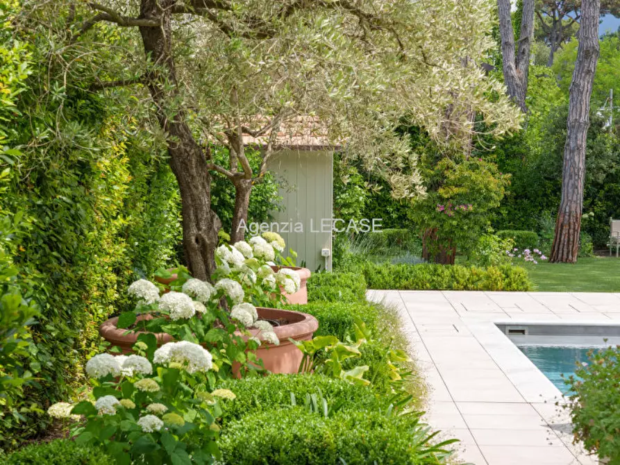Immagine 46 di Villa in affitto  in Viale della Repubblica a Forte Dei Marmi